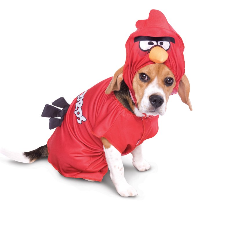 Dogs Angry Birds Halloween Costumes